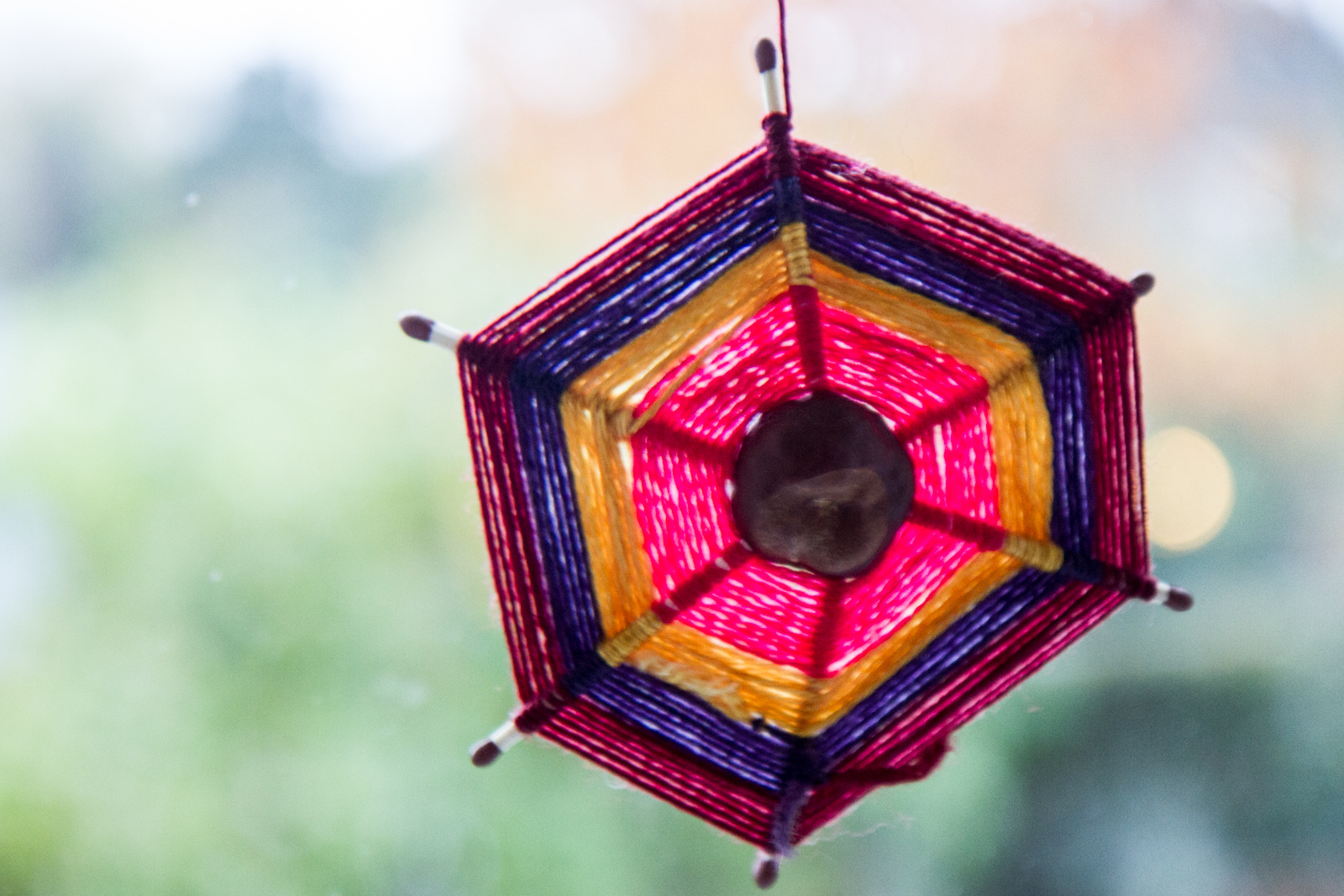 "2014-10-18: Chestnut Yarn Spider."